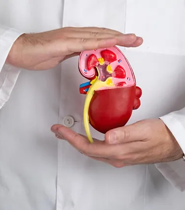 Insuficiencia renal Insuficiencia renal