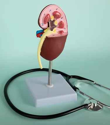 Enfermedad renal crónica Enfermedad renal crónica